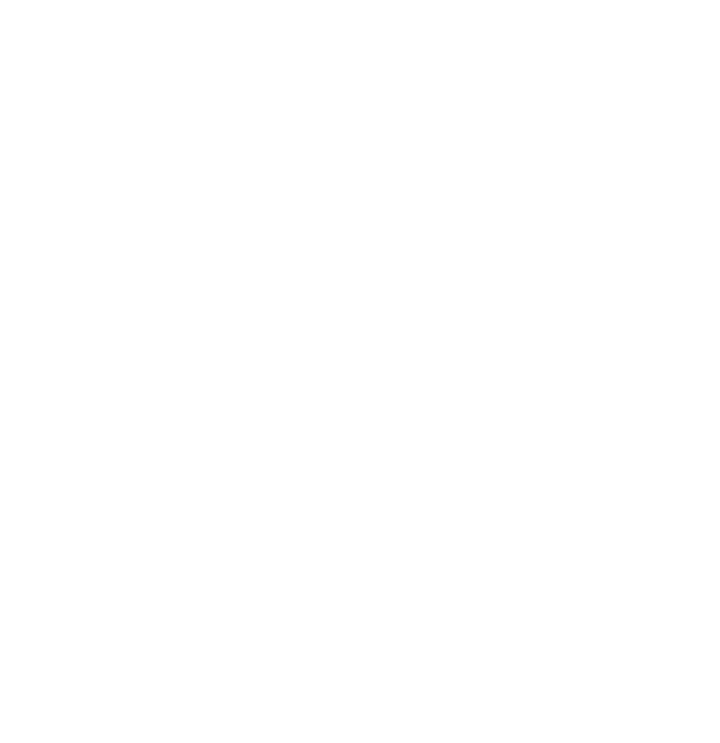 reparatur